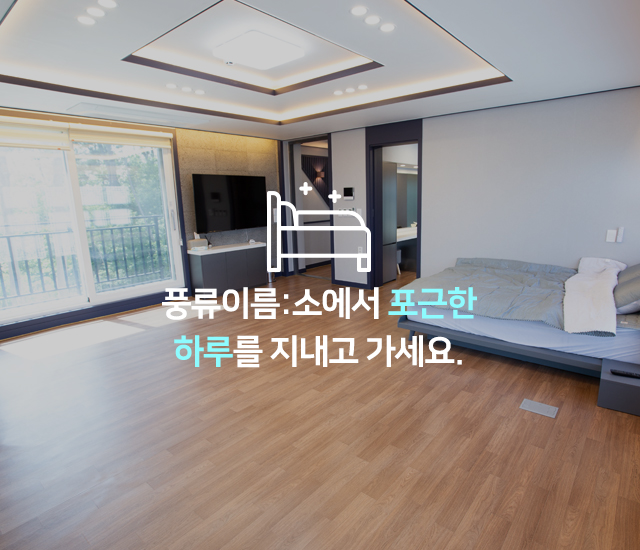 메인이미지3